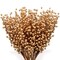 24" Gold Holly Berry Stems - 24-Pack, 35 Realistic Berries per Stem, Perfect for Wreaths, Trees & Garlands - Christmas & Holiday Décor Accent - 2024 Christmas Collection, Floral Home by Artificial Flowers